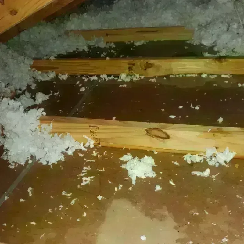 Attic Water Damage in Scarsdale, NY